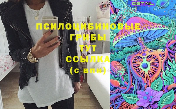 МДПВ Медногорск