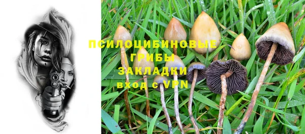 ешки Медвежьегорск